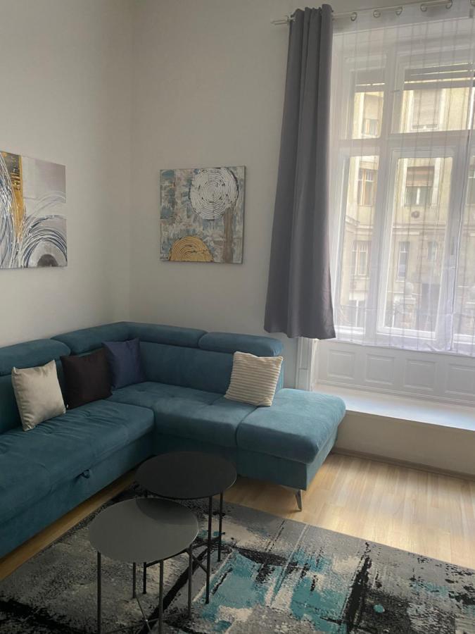 Blue Danube Apartment Downtown With Free Parking بودابست المظهر الخارجي الصورة